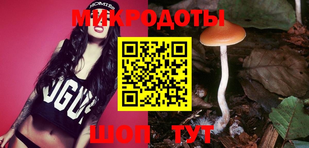 Урус-Мартан  Галлюциногенные грибы GOLDEN TEACHER  Вход с VPN 