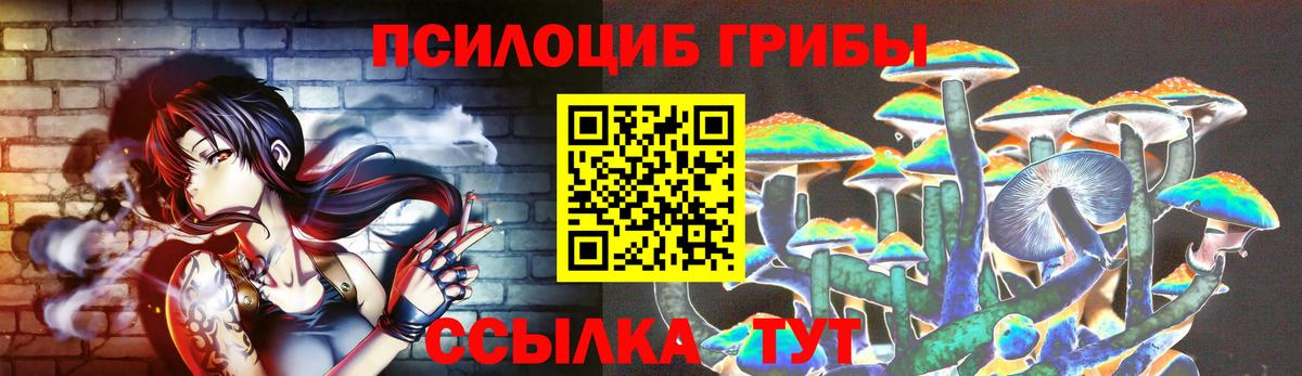 Галлюциногенные грибы Psilocybine cubensis Урус-Мартан